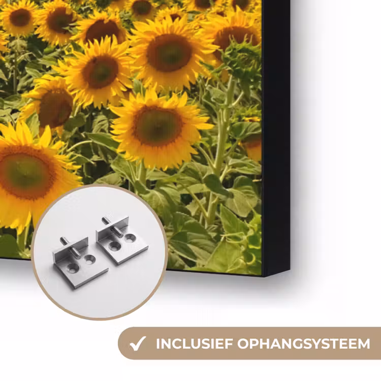 Art Frame - Bloemen - Zonnebloem - Zonsondergang - Nacht - Oranje — 6