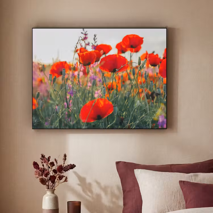 Art Frame - Klaproos - Bloemen - Rood - Paars - Weide — 3