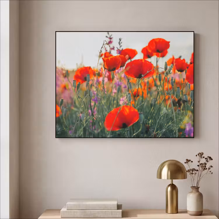 Art Frame - Klaproos - Bloemen - Rood - Paars - Weide — 5