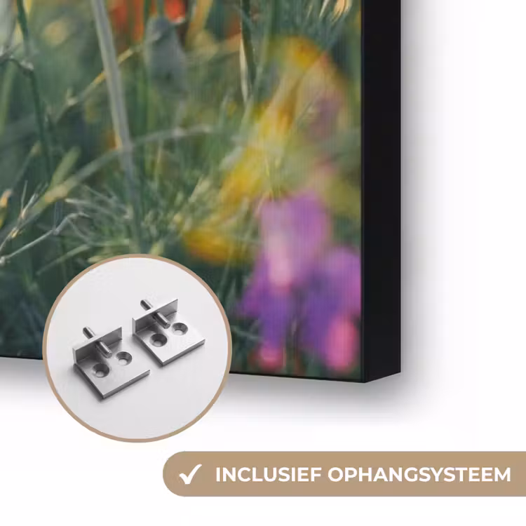 Art Frame - Klaproos - Bloemen - Rood - Paars - Weide — 6