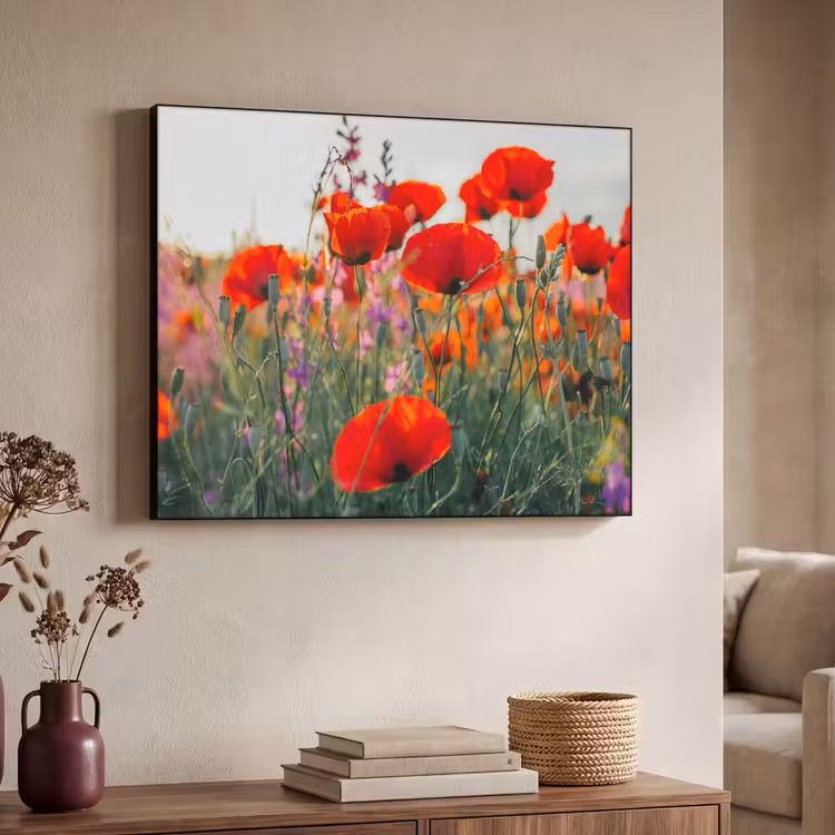Art Frame - Klaproos - Bloemen - Rood - Paars - Weide — 7