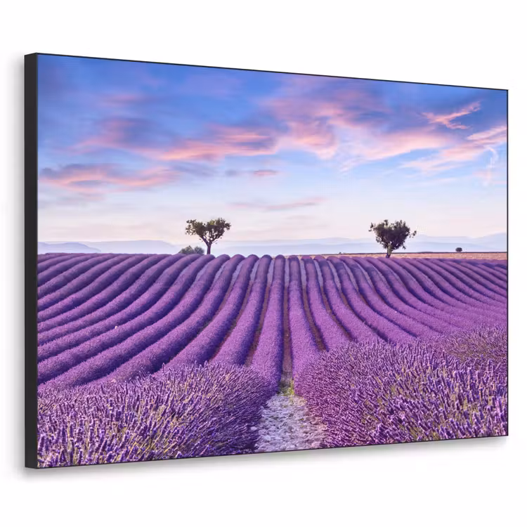 Art Frame - Lavendel - Natuur - Paars - Bomen - Bloemen — 1