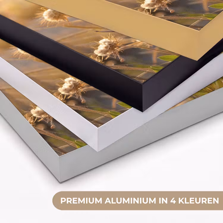 Art Frame - Planten - Natuur - Bloemen - Zon - Horizon — 2
