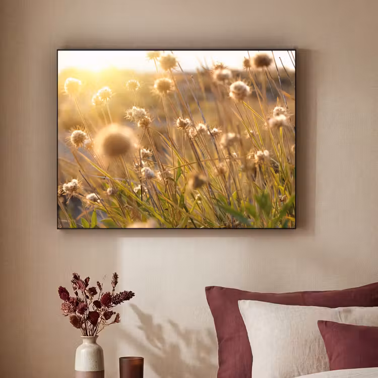Art Frame - Planten - Natuur - Bloemen - Zon - Horizon — 3