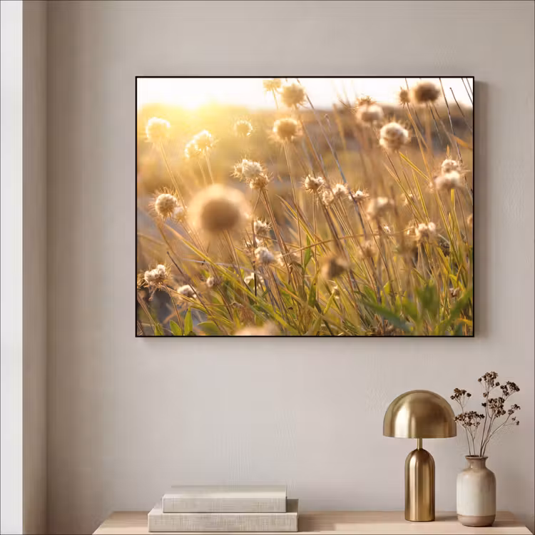 Art Frame - Planten - Natuur - Bloemen - Zon - Horizon — 5