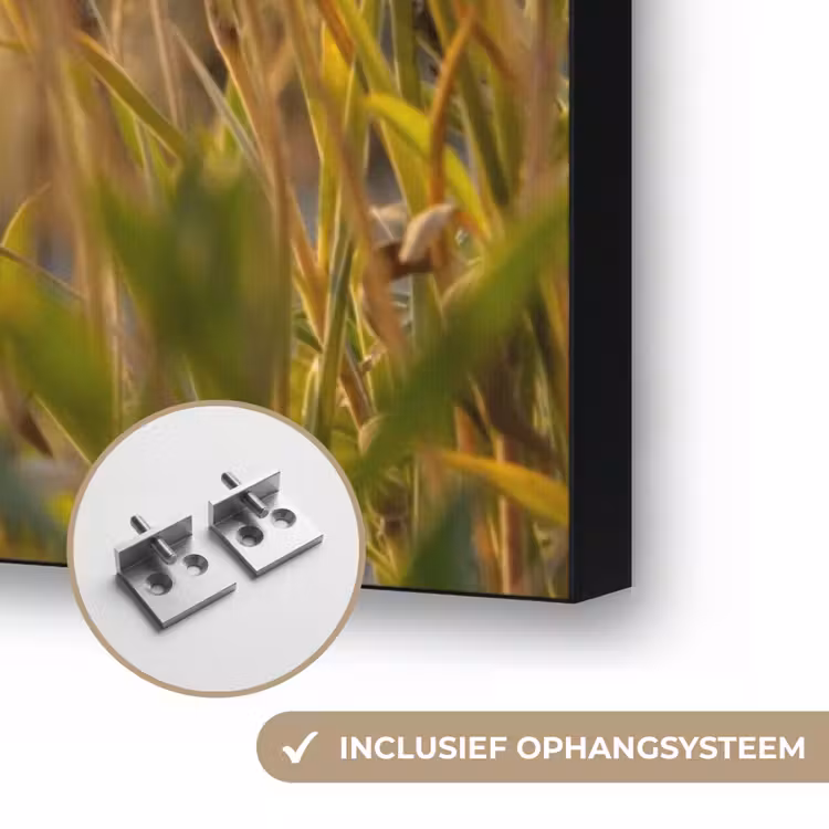 Art Frame - Planten - Natuur - Bloemen - Zon - Horizon — 6