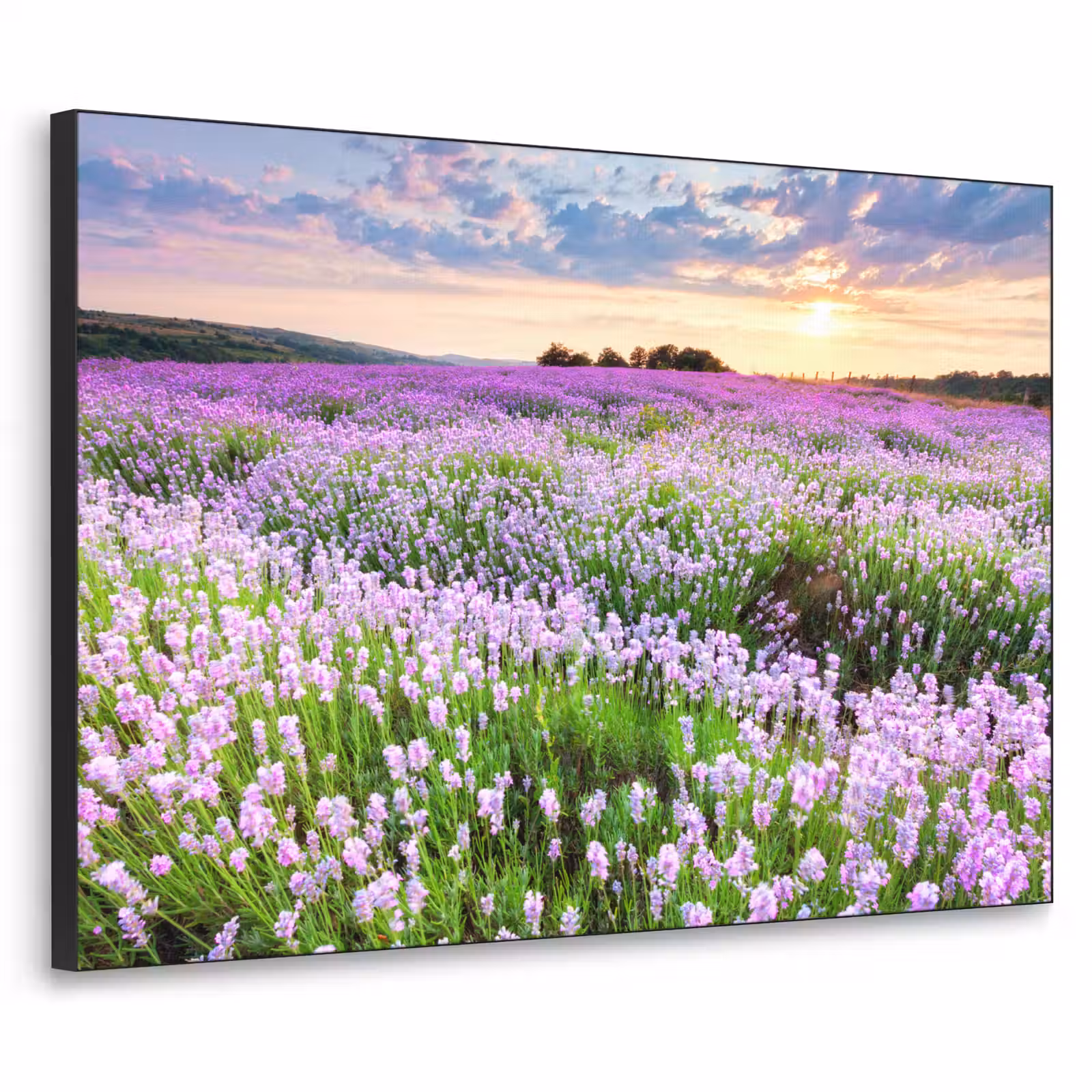 Art Frame - Bloemen - Lavendel - Paars - Lucht - Zonsondergang - Weide - Natuur — 1