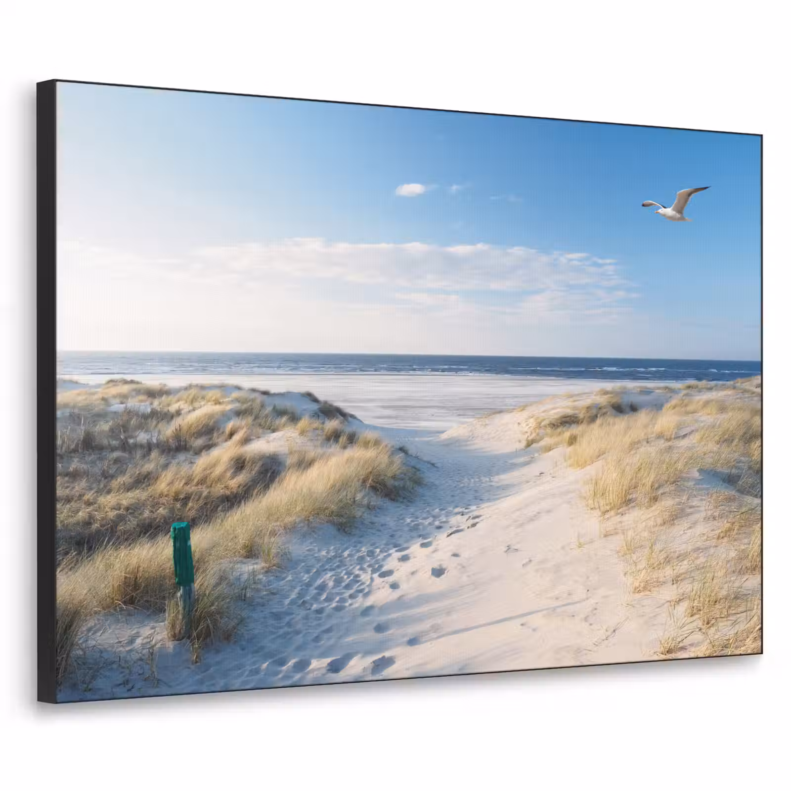 Art Frame - Duin - Meeuw - Strand - Zee - Zon — 1