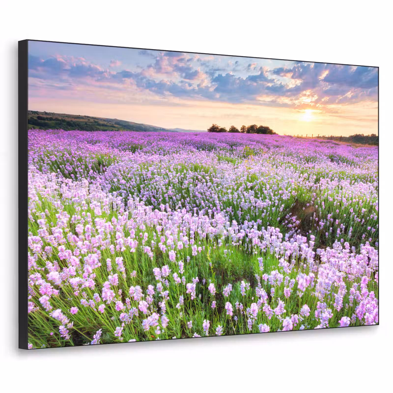 Art Frame - Lavendel - Bloemen - Zonsondergang - Paars - Weide — 1