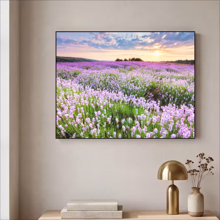 Art Frame - Bloemen - Lavendel - Paars - Lucht - Zonsondergang - Weide - Natuur — 5