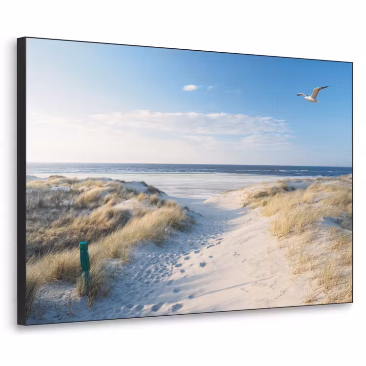 Art Frame - Duin - Meeuw - Strand - Zee - Zon — 1