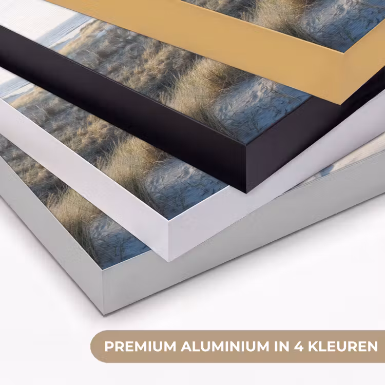 Art Frame - Duin - Meeuw - Strand - Zee - Zon — 2