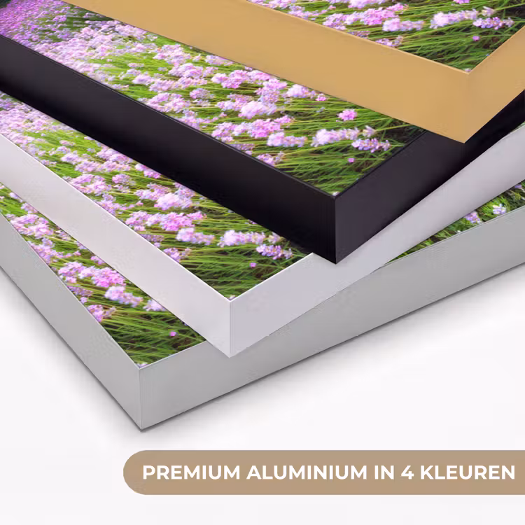Art Frame - Lavendel - Bloemen - Zonsondergang - Paars - Weide — 2