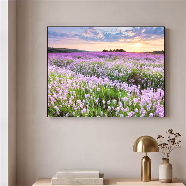Art Frame - Lavendel - Bloemen - Zonsondergang - Paars - Weide — 5