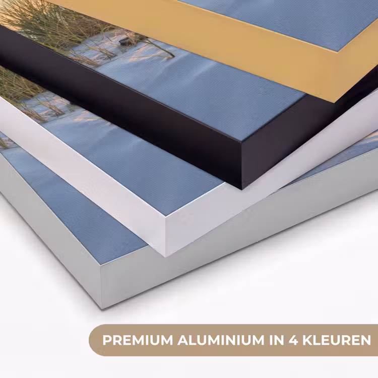 Art Frame - Strand - Zon - Duin - Gras - Zand - Horizon — 2