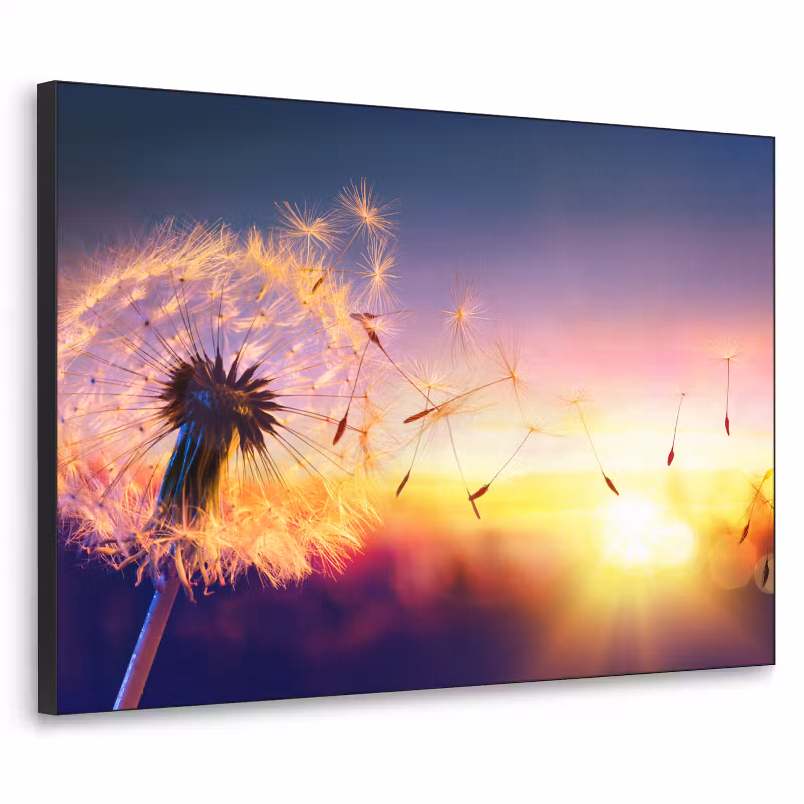 Art Frame - Paardenbloem - Bloemen - Zonsondergang - Horizon - Nacht — 1