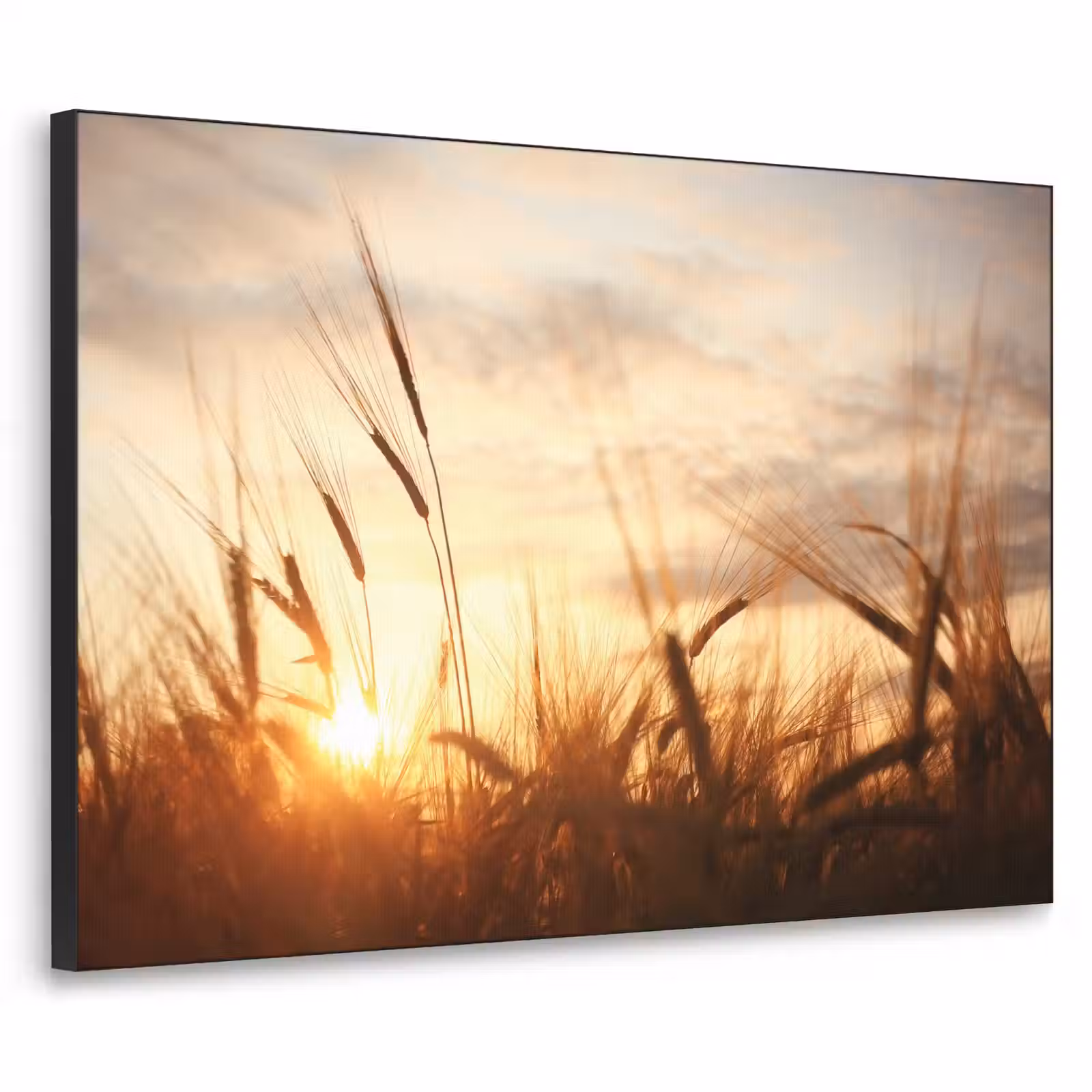 Art Frame - Riet - Gras - Zonsondergang - Natuur - Horizon — 1