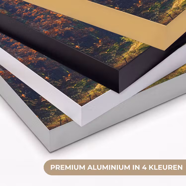 Art Frame - Bos - Zon - Natuur - Herfst — 2