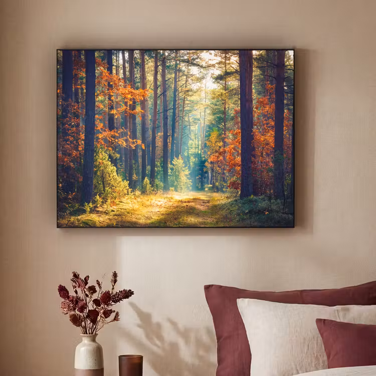 Art Frame - Bos - Zon - Natuur - Herfst — 3