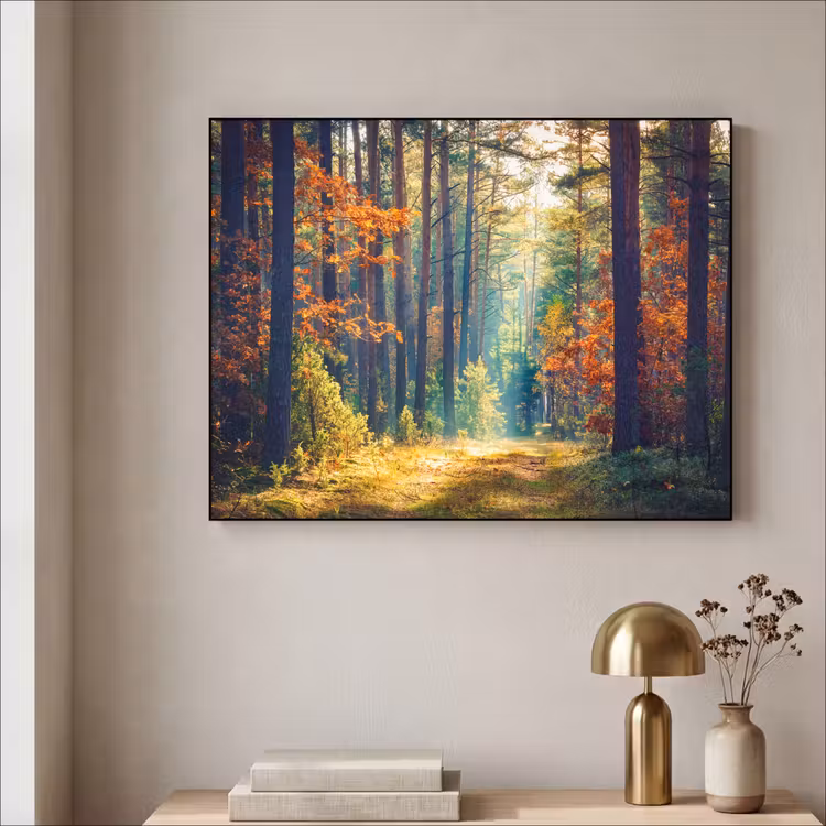 Art Frame - Bos - Zon - Natuur - Herfst — 5