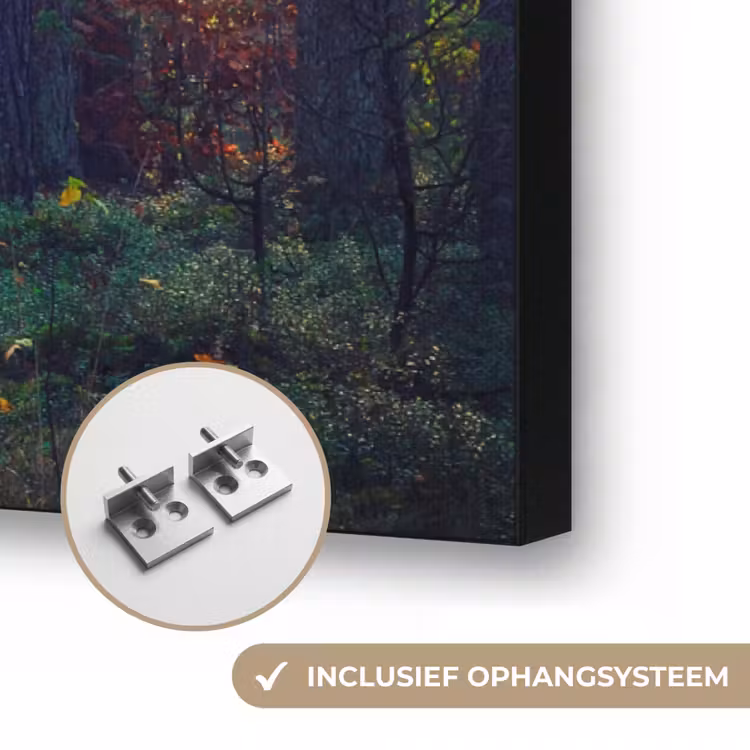 Art Frame - Bos - Zon - Natuur - Herfst — 6