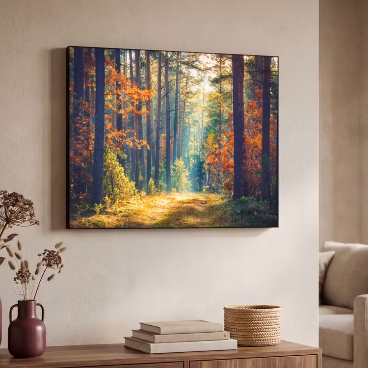 Art Frame - Bos - Zon - Natuur - Herfst — 7