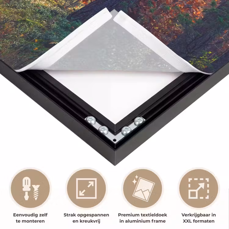 Art Frame - Bos - Zon - Natuur - Herfst — 8
