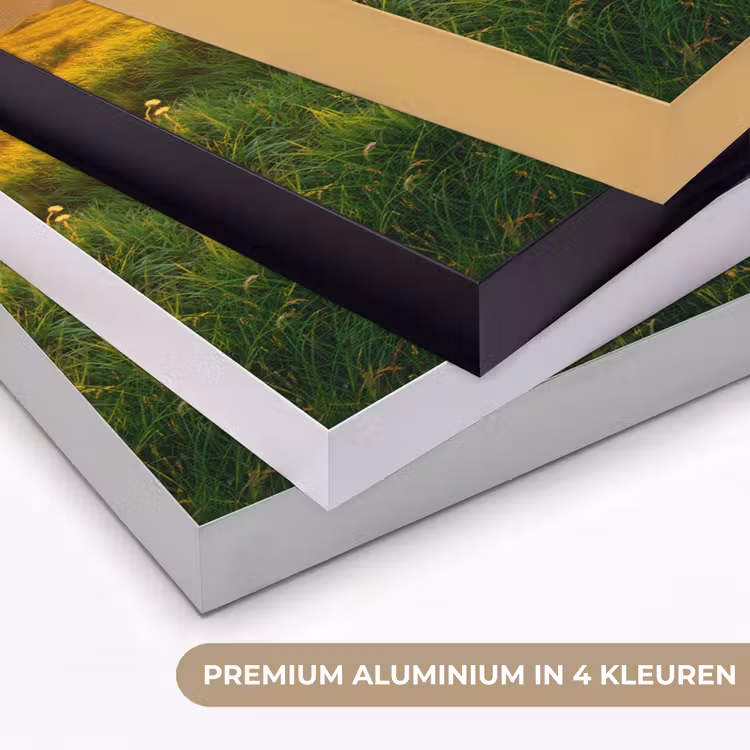 Art Frame - Gras - Heuvels - Zon - Natuur - Landschap — 2