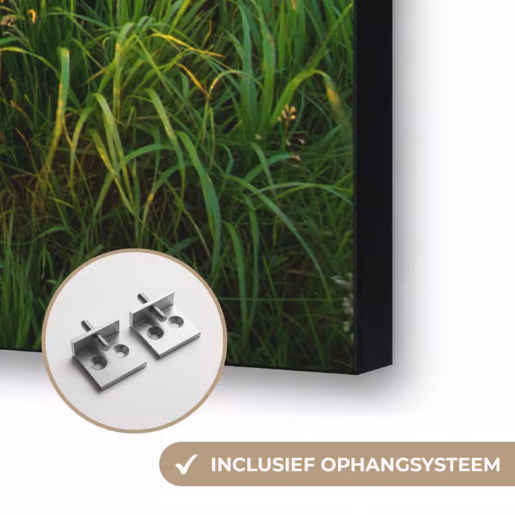 Art Frame - Gras - Heuvels - Zon - Natuur - Landschap — 6
