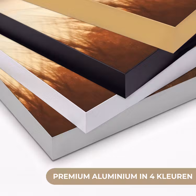 Art Frame - Riet - Gras - Zonsondergang - Natuur - Horizon — 2