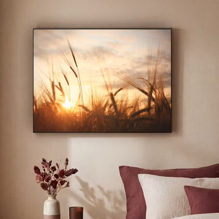 Art Frame - Riet - Gras - Zonsondergang - Natuur - Horizon — 3