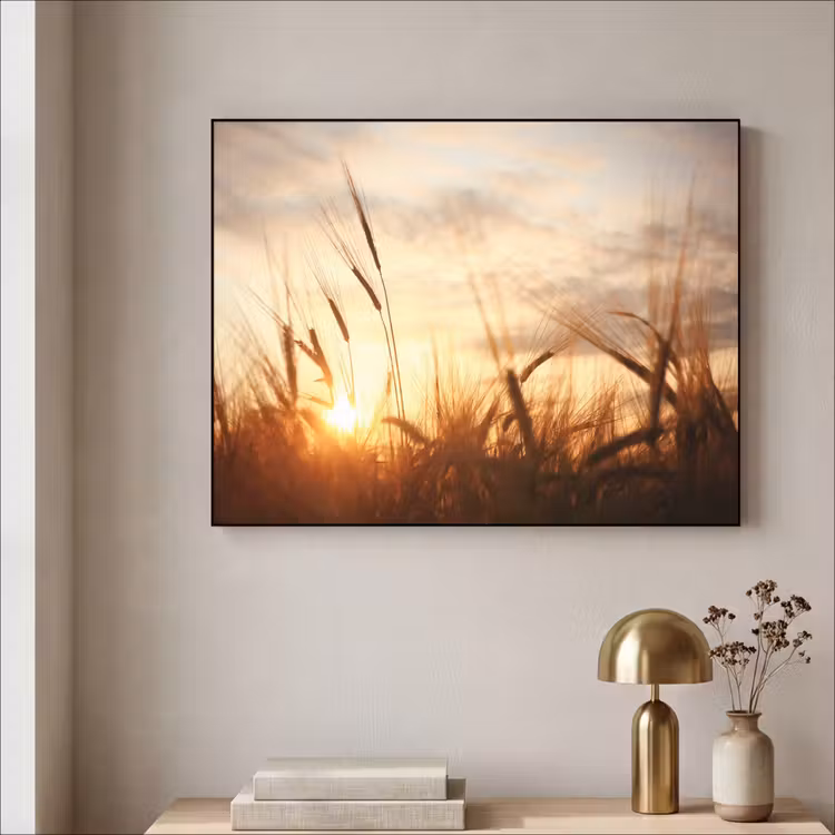 Art Frame - Riet - Gras - Zonsondergang - Natuur - Horizon — 5