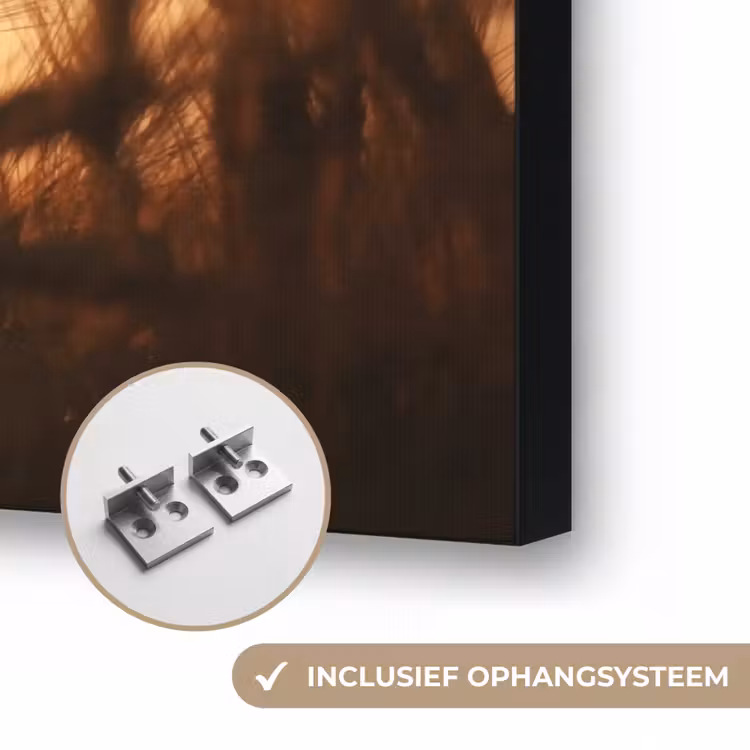 Art Frame - Riet - Gras - Zonsondergang - Natuur - Horizon — 6
