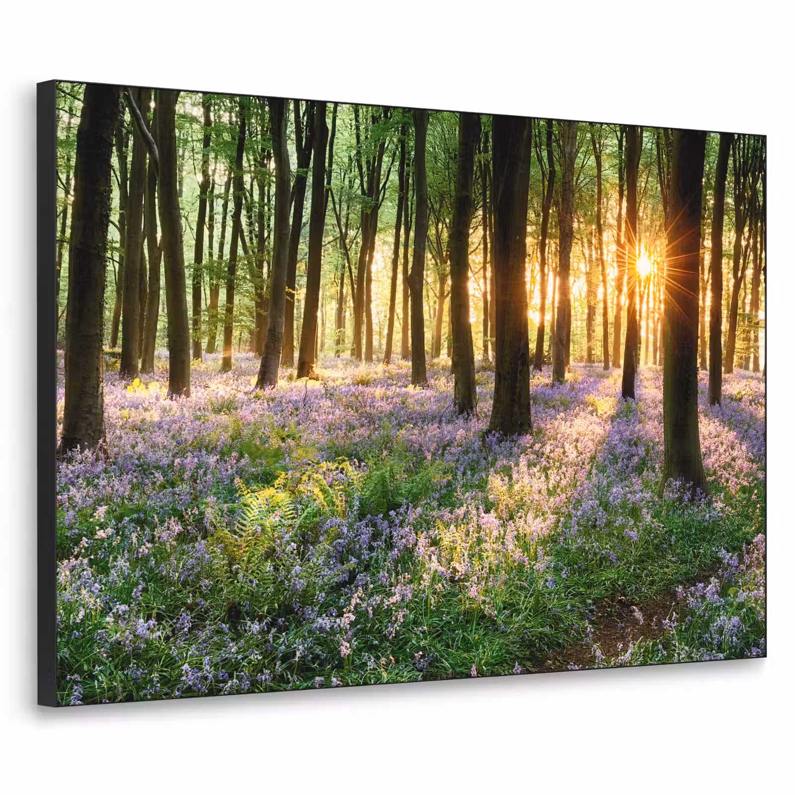 Art Frame - Bos - Bloemen - Lavendel - Zon - Paars - Natuur — 1