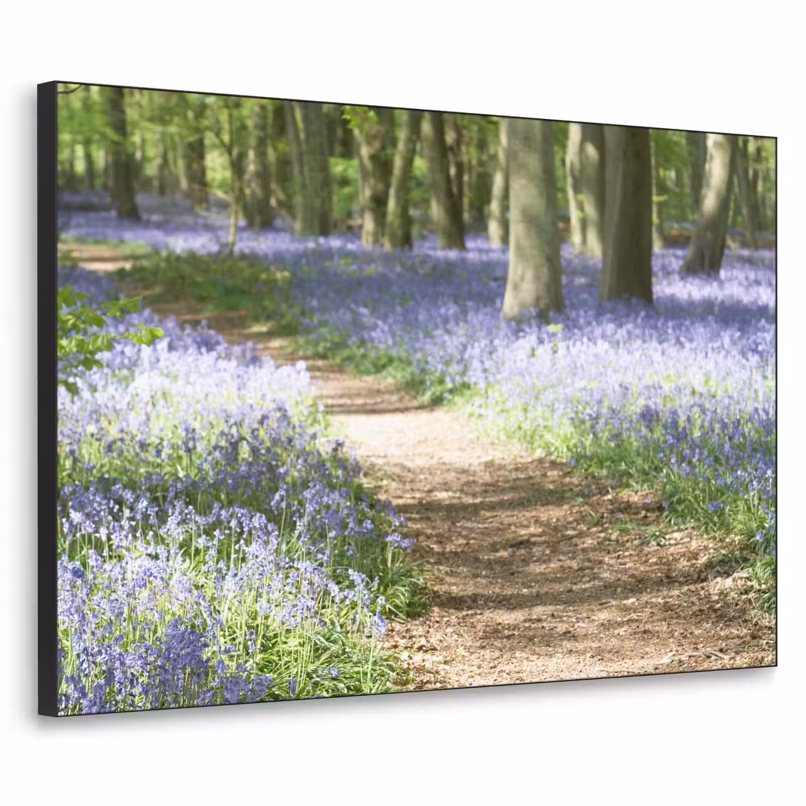 Art Frame - Bos - Pad - Bloemen - Paars - Groen - Natuur — 1