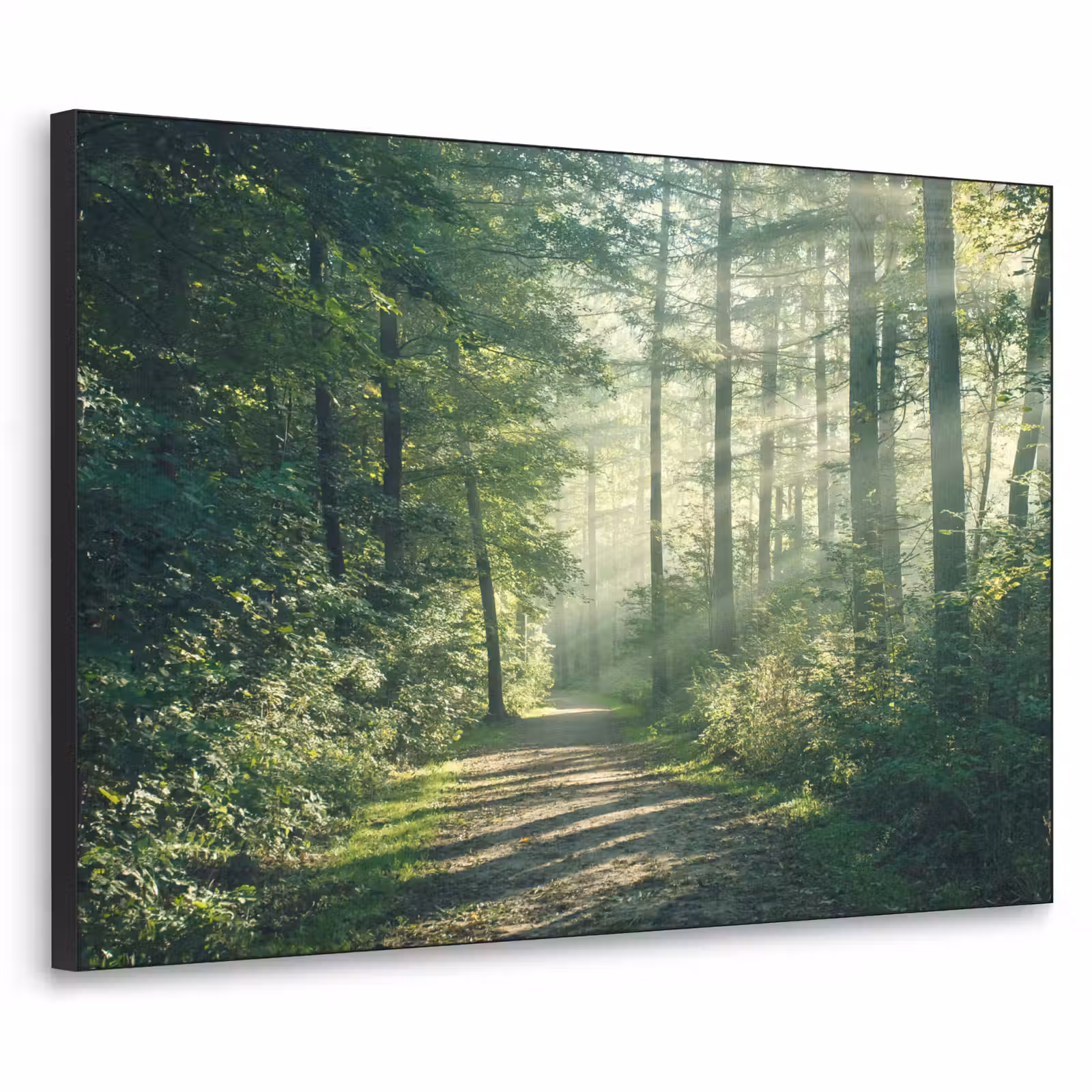 Art Frame - Bos - Pad - Zon - Bomen - Groen - Natuur — 1