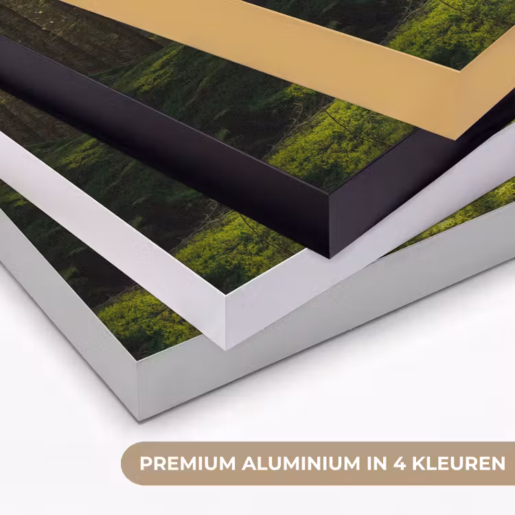 Art Frame - Bomen - Bos - Mos - Planten - Zon - Natuur — 2