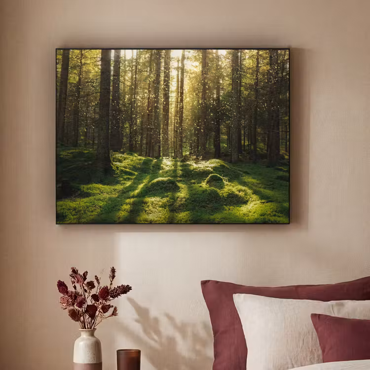 Art Frame - Bomen - Bos - Mos - Planten - Zon - Natuur — 3