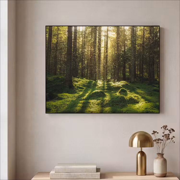 Art Frame - Bomen - Bos - Mos - Planten - Zon - Natuur — 5