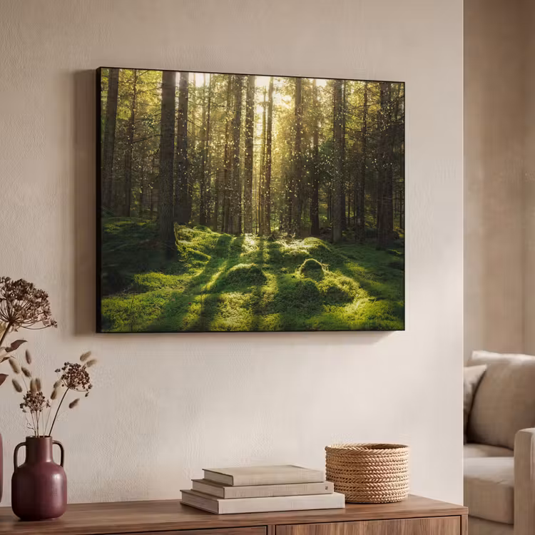 Art Frame - Bomen - Bos - Mos - Planten - Zon - Natuur — 7