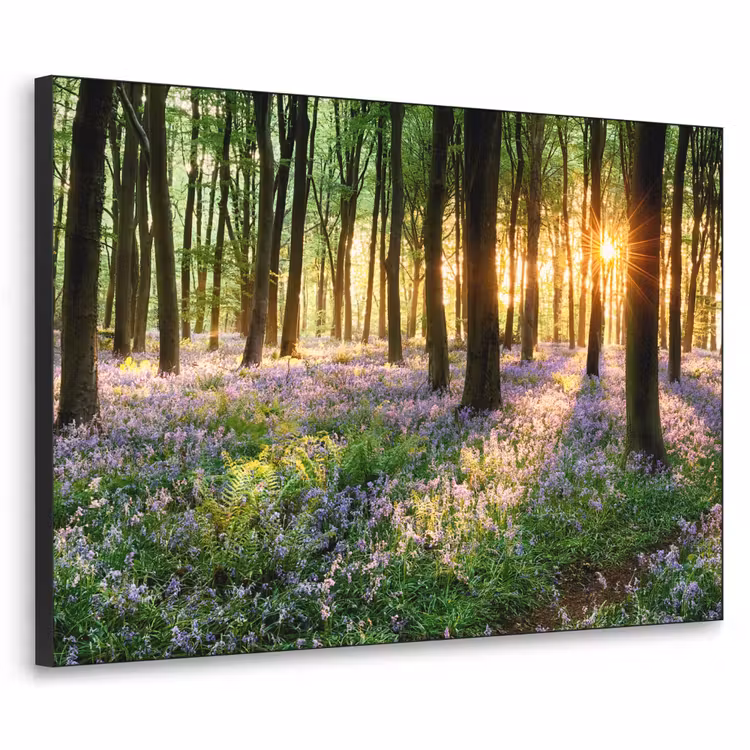 Art Frame - Bos - Bloemen - Lavendel - Zon - Paars - Natuur — 1