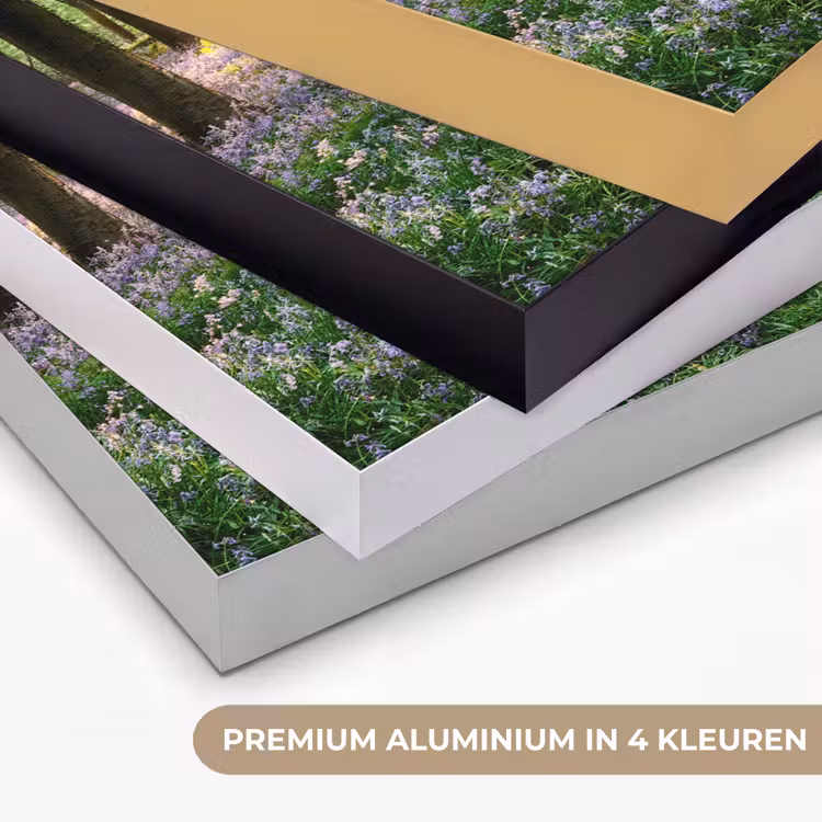 Art Frame - Bos - Bloemen - Lavendel - Zon - Paars - Natuur — 2