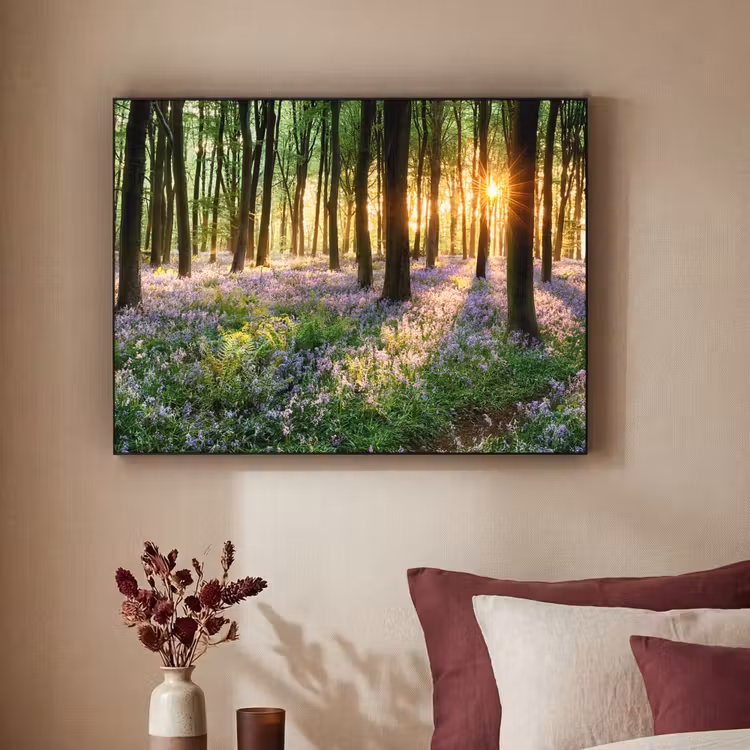 Art Frame - Bos - Bloemen - Lavendel - Zon - Paars - Natuur — 3