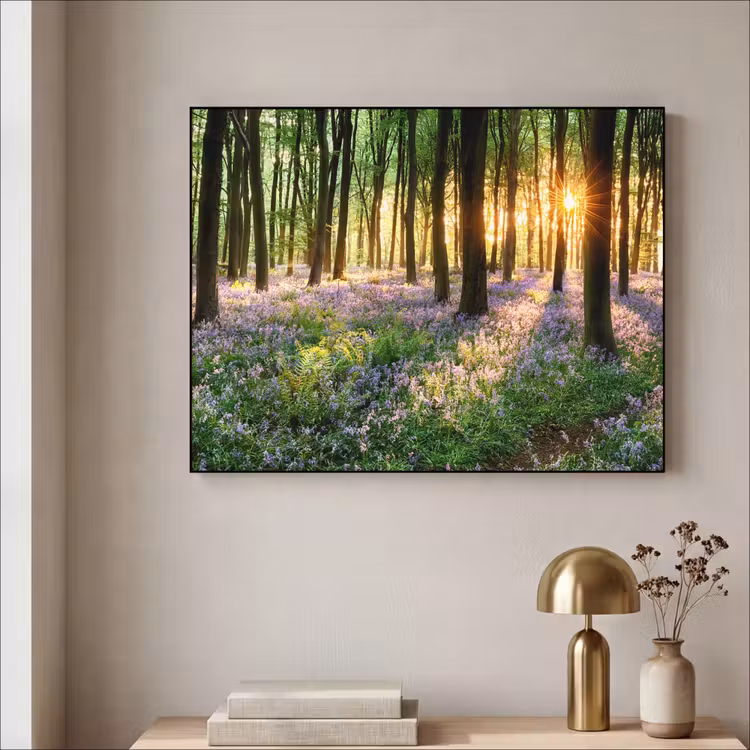 Art Frame - Bos - Bloemen - Lavendel - Zon - Paars - Natuur — 5