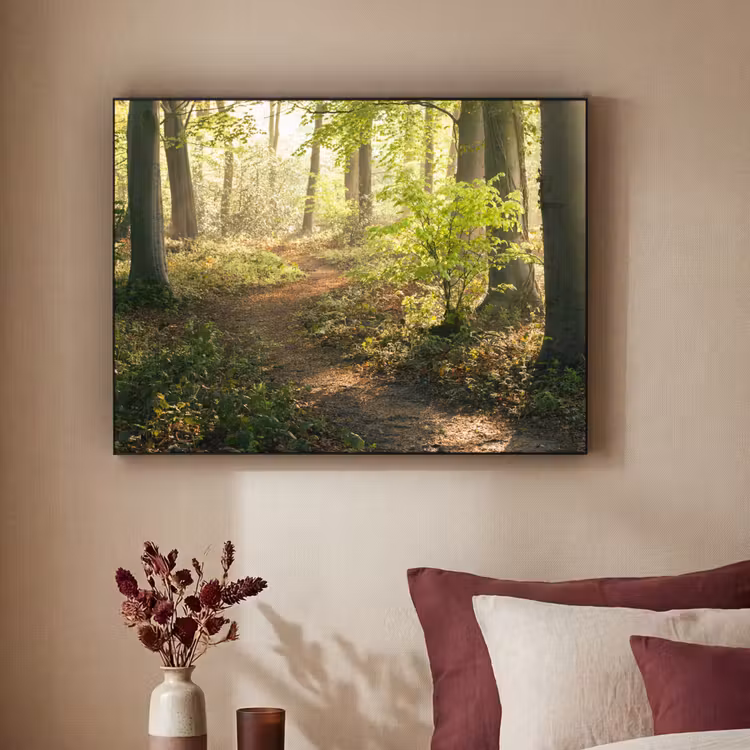Art Frame - Bos - Bomen - Pad - Zon - Planten - Bladeren - Natuur — 3