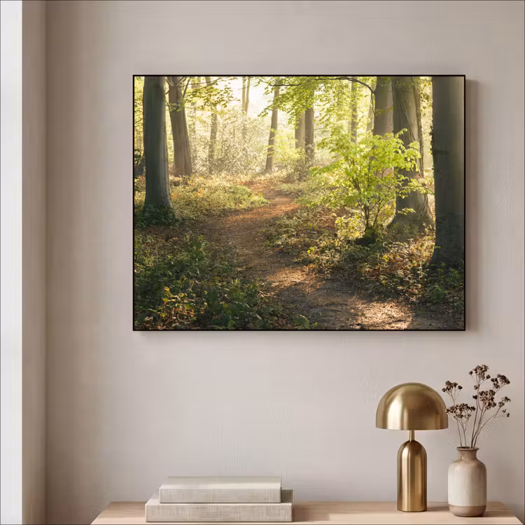 Art Frame - Bos - Bomen - Pad - Zon - Planten - Bladeren - Natuur — 5
