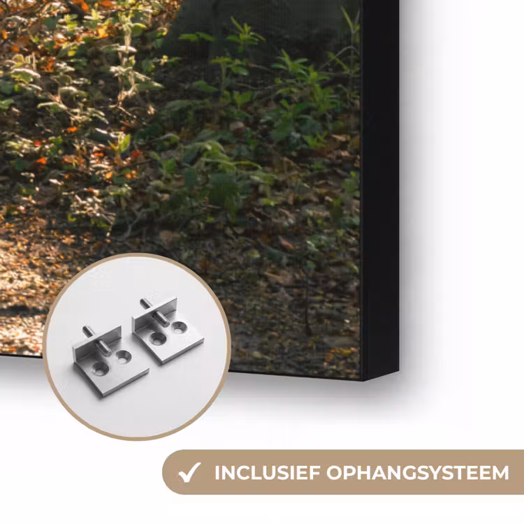 Art Frame - Bos - Bomen - Pad - Zon - Planten - Bladeren - Natuur — 6