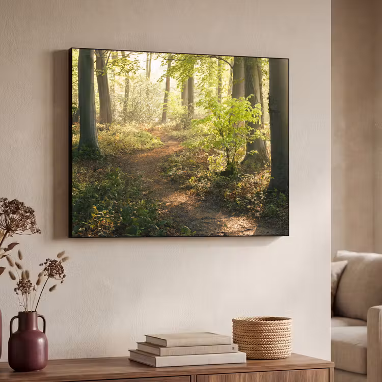 Art Frame - Bos - Bomen - Pad - Zon - Planten - Bladeren - Natuur — 7