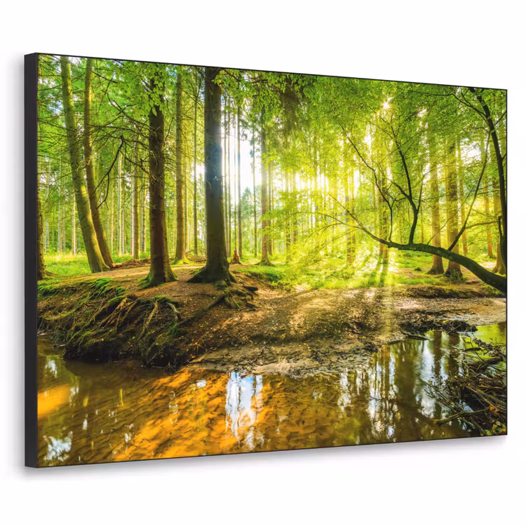 Art Frame - Bos - Landschap - Water - Bomen - Zon - Groen - Natuur — 1