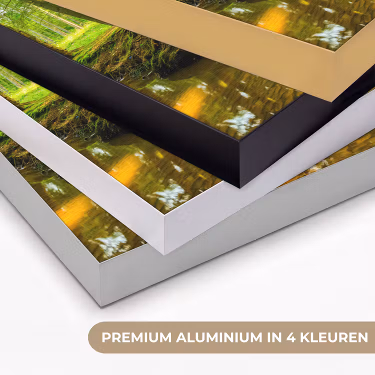 Art Frame - Bos - Landschap - Water - Bomen - Zon - Groen - Natuur — 2